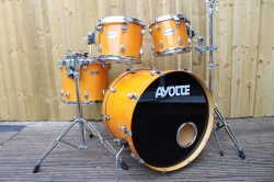 Ayotte Maple 24, 10, 12, 15 in  Honey Amber